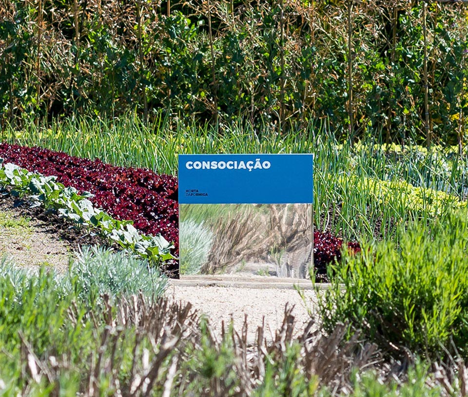 導視丨Horta da Formiga 標牌系統